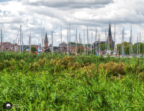 gras met masten in de haven erboven
